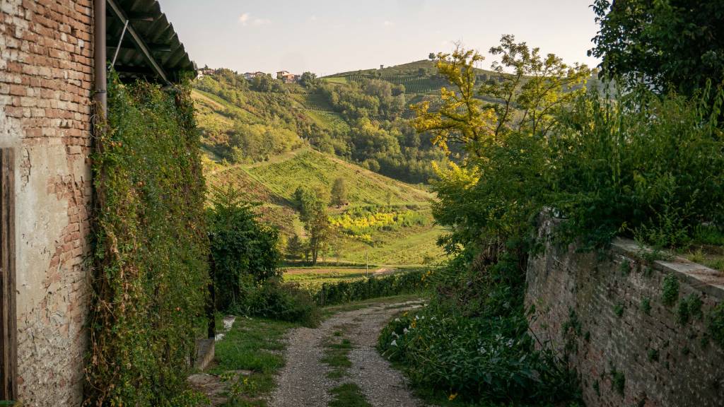 Oltrepò Pavese Bruno Verdi