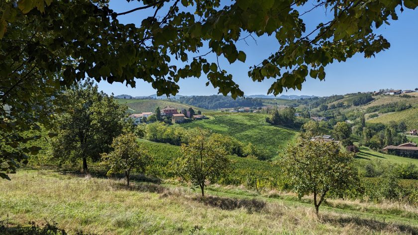 Oltrepò Pavese Frecciarossa