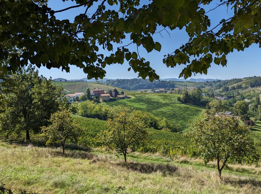 Oltrepò Pavese Frecciarossa