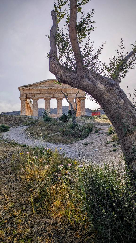 Segesta